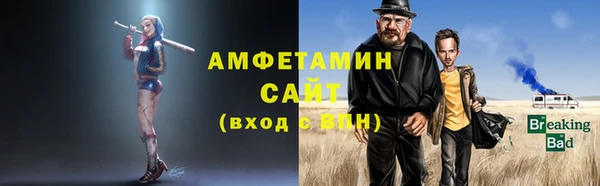 сатива Лабытнанги