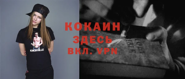 сатива Лабытнанги