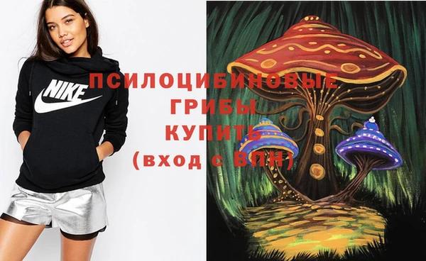 твердый Краснотурьинск