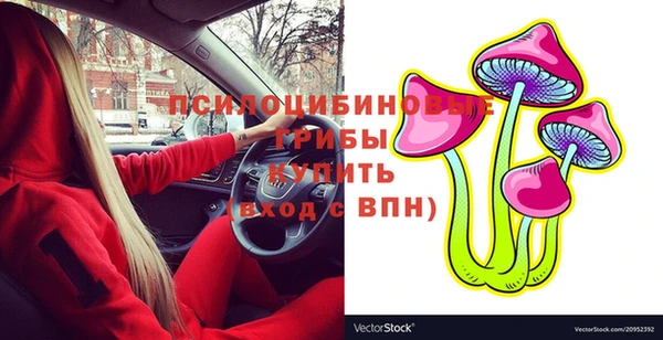 MDMA Лагань