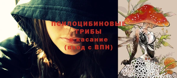 мдпв Красноперекопск