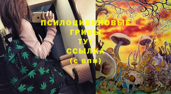 каннабис Тавда