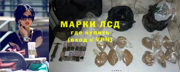 сатива Лабытнанги