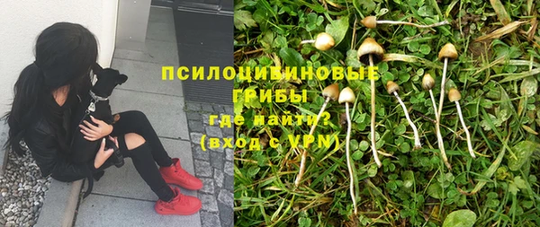 мдпв Красноперекопск