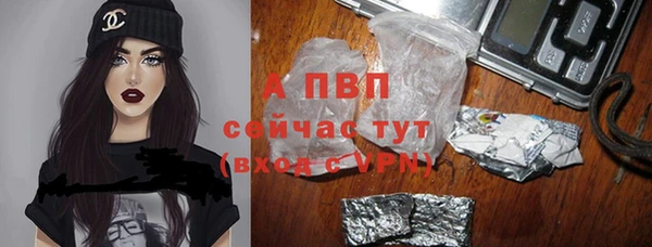 сатива Лабытнанги